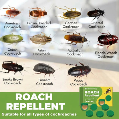 RoachAway Gel Bait (12 Pieces)